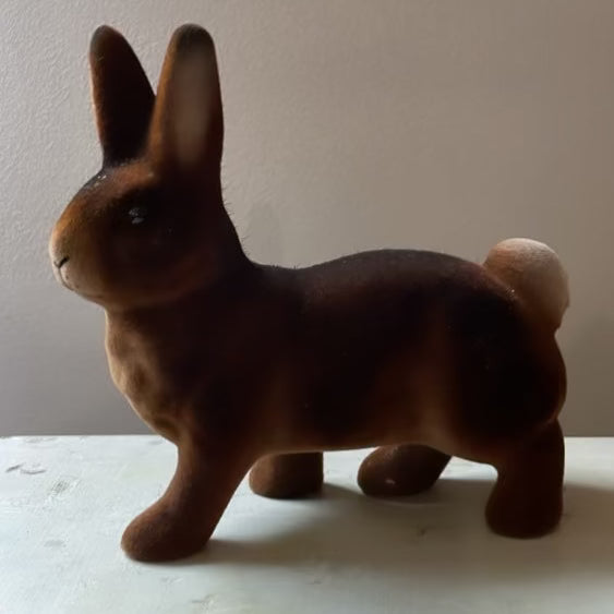 Brown Velvet Bunny Walking | Ino Schaller