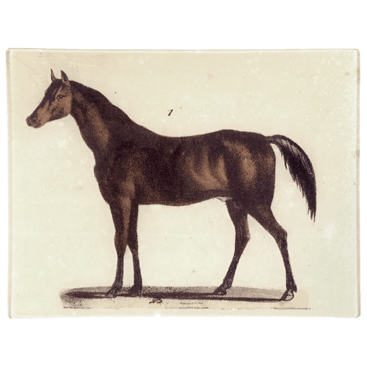 Horse 1 | John Derian - Bon Ton goods