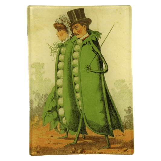 Peas in a Pod | John Derian - Bon Ton goods