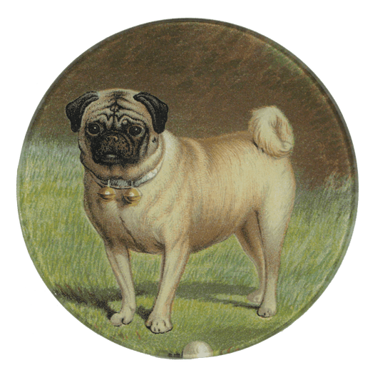 Pug & Ball | John Derian - Bon Ton goods