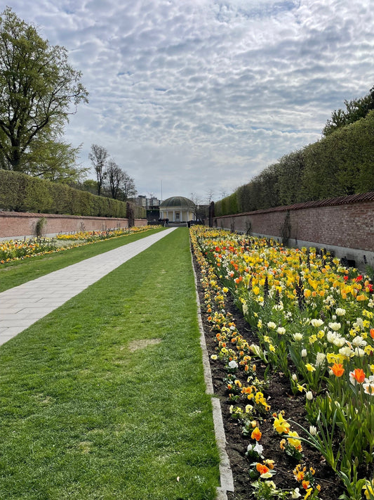 A City in Bloom: Malmö’s “Fruit Cocktail” Flower Beds & the Art of Everyday Beauty