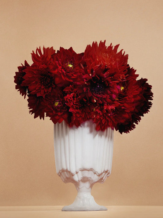 Astier de Villatte – A Winter Pre-Order Invitation