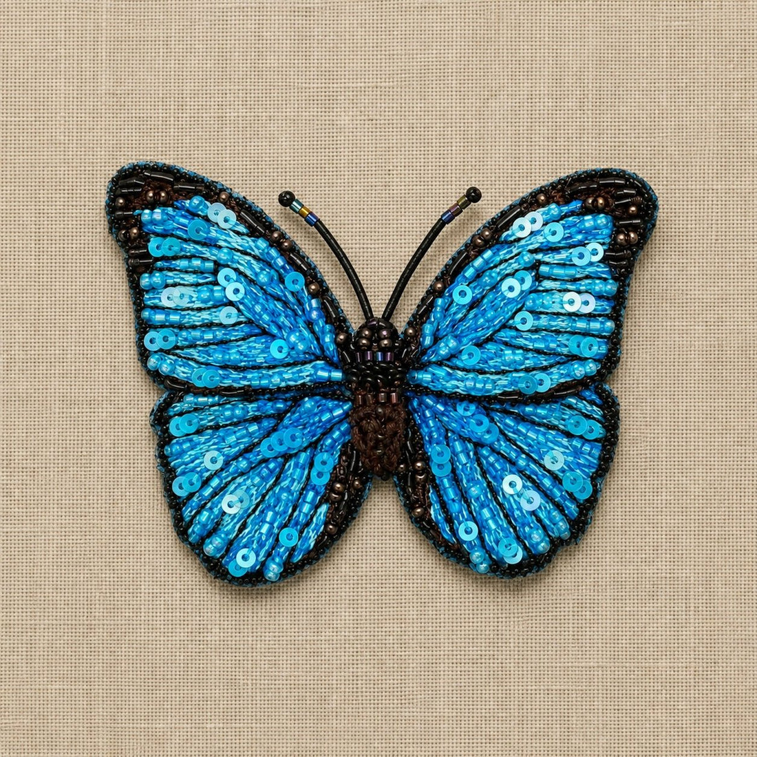 Butterflies: The Art of Transformation - Bon Ton goods