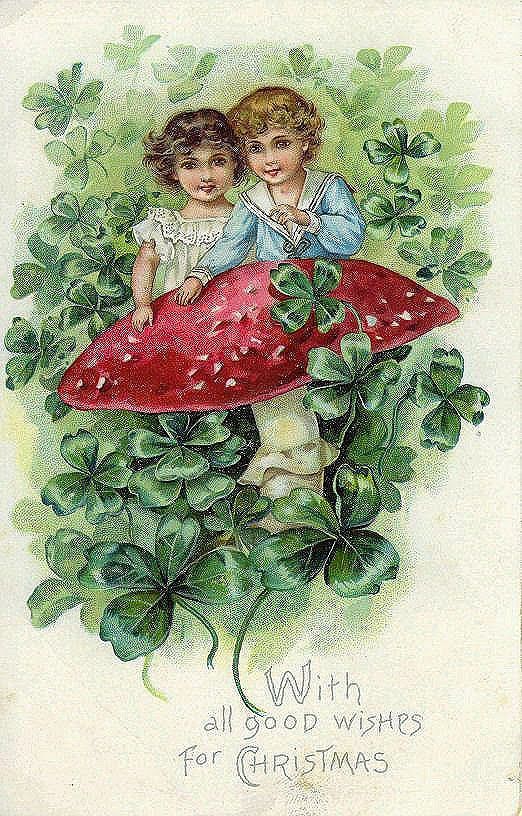 Christmas mushrooms: A festive fungi connection - Bon Ton goods