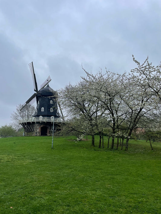 MALMÖ, CURATED: Our Updated City Guide