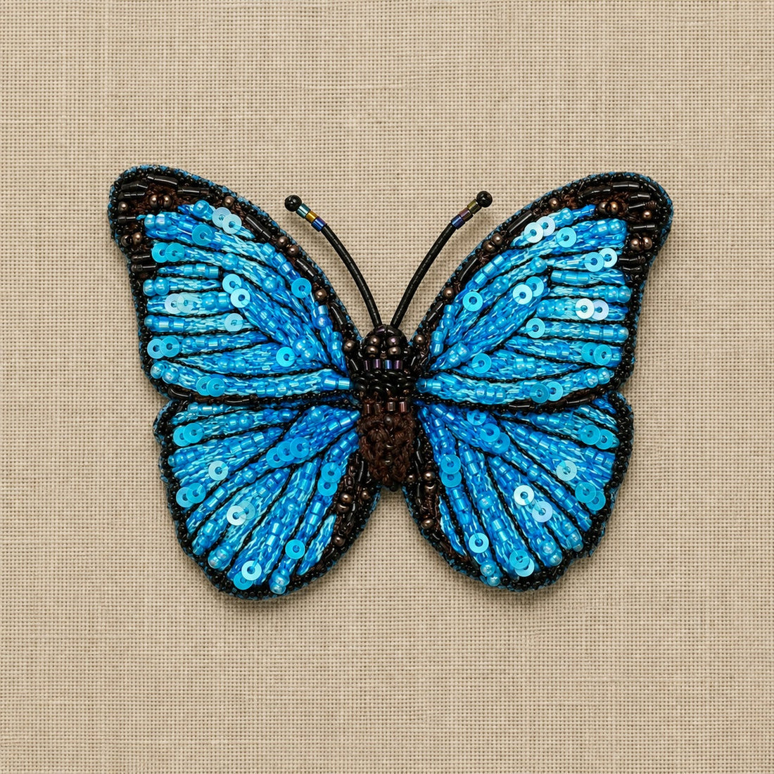 Butterflies: The Art of Transformation