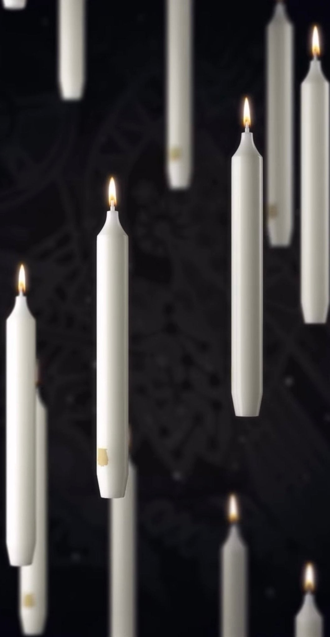 The Light of the Season, Trudon’s Scented Madeleine Candles - Bon Ton goods