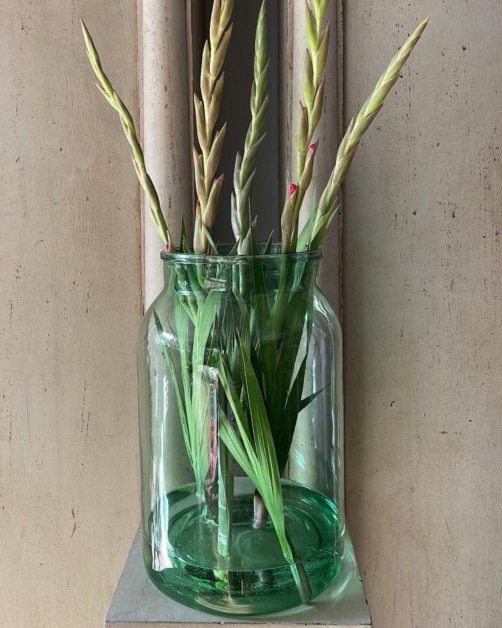 The Timeless Charm of Antique French Pickling Jars: From Preservation to Decoration - Bon Ton goods