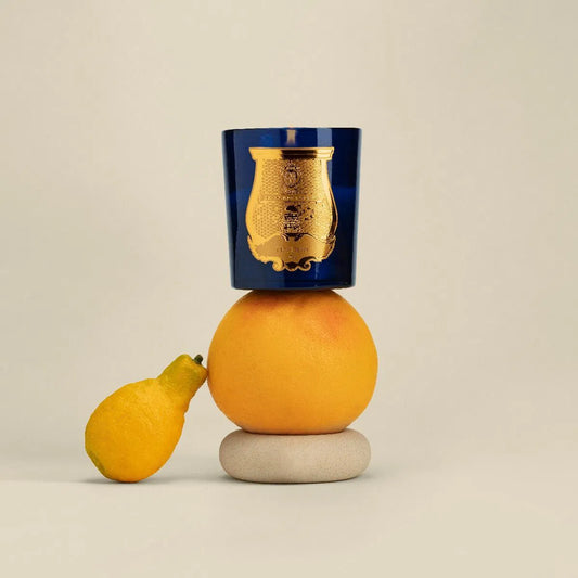 Belles Matières by Trudon: A Geographic Odyssey Through Scent