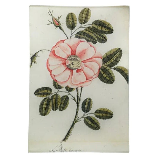 Why John Derian Decoupage Is So Collectible - Bon Ton goods