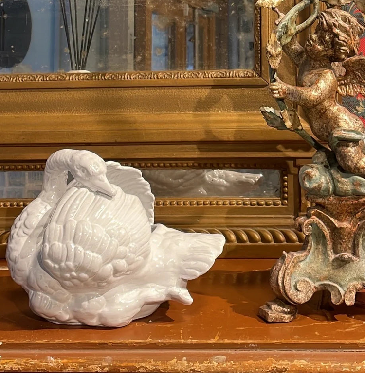 SWANS