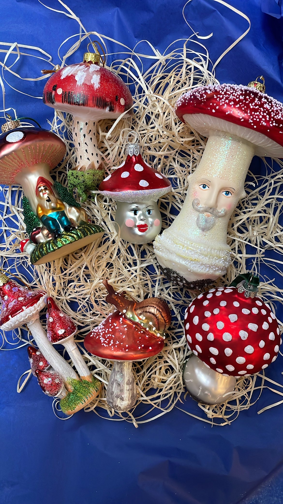 MUSHROOM