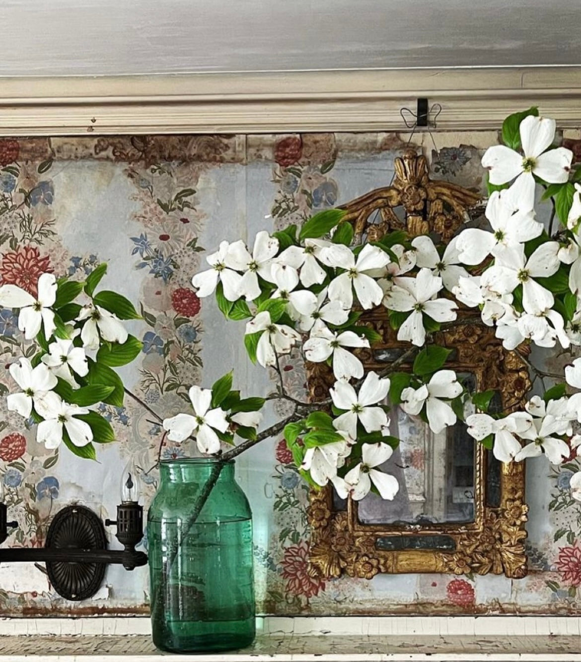 GLASS VASES