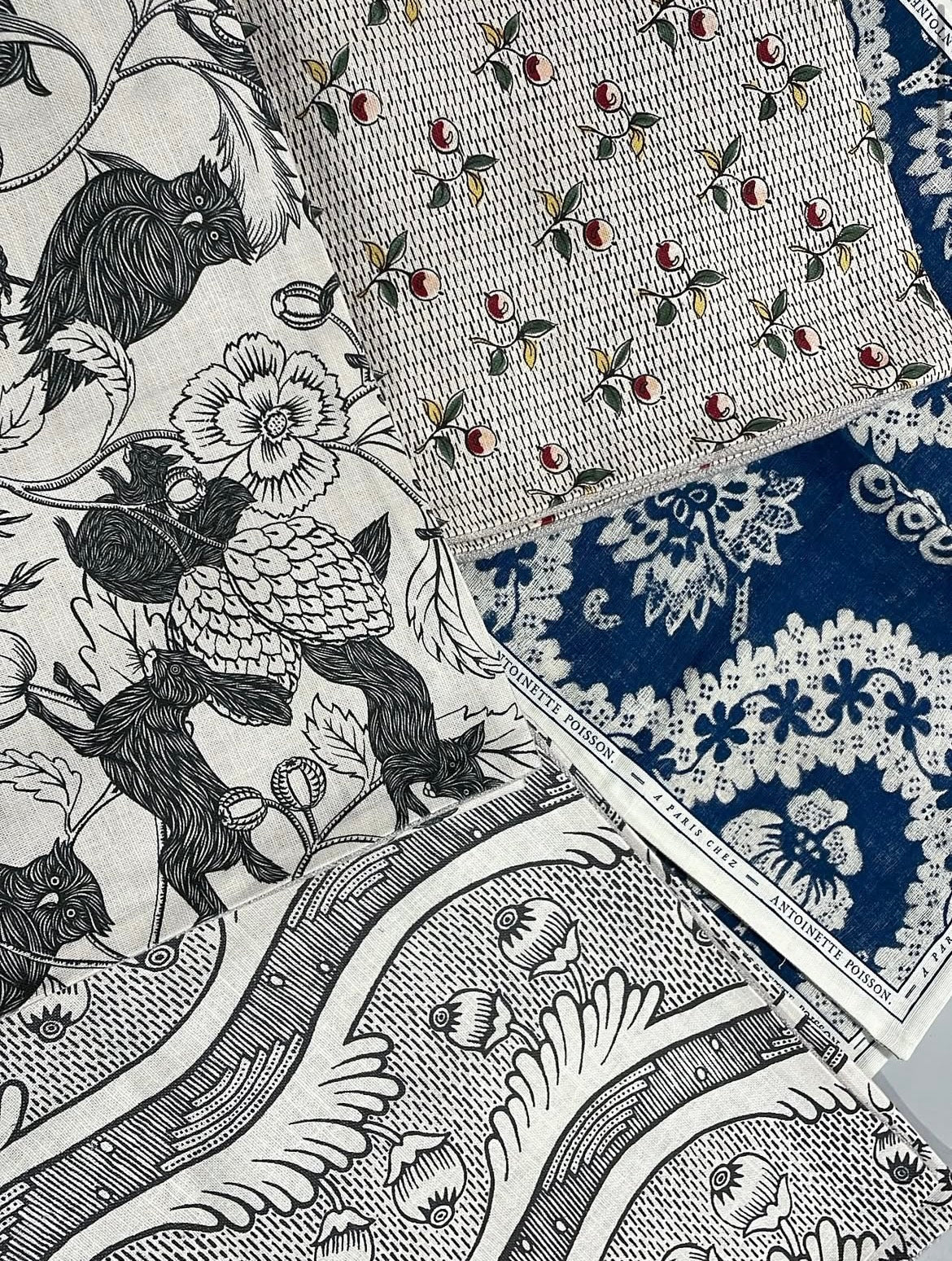 NEWS | ANTOINETTE POISSON - Bon Ton goods