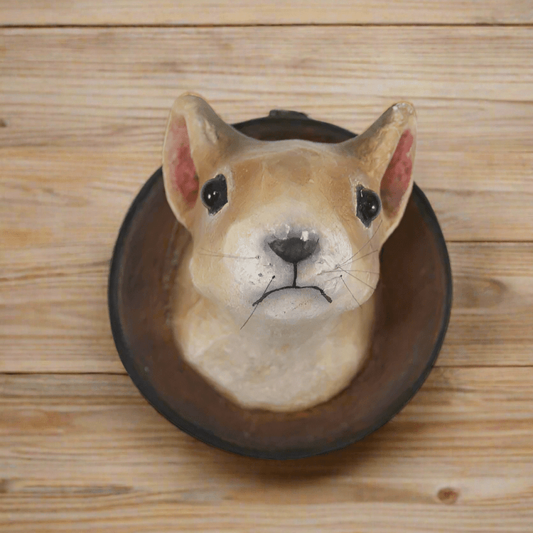 SQUIRRELS - Bon Ton goods