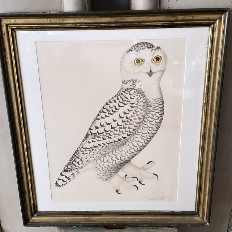 THE GREAT BIRD BOOK - Lithographs by Olof Rudbeck The Younger - Bon Ton goods