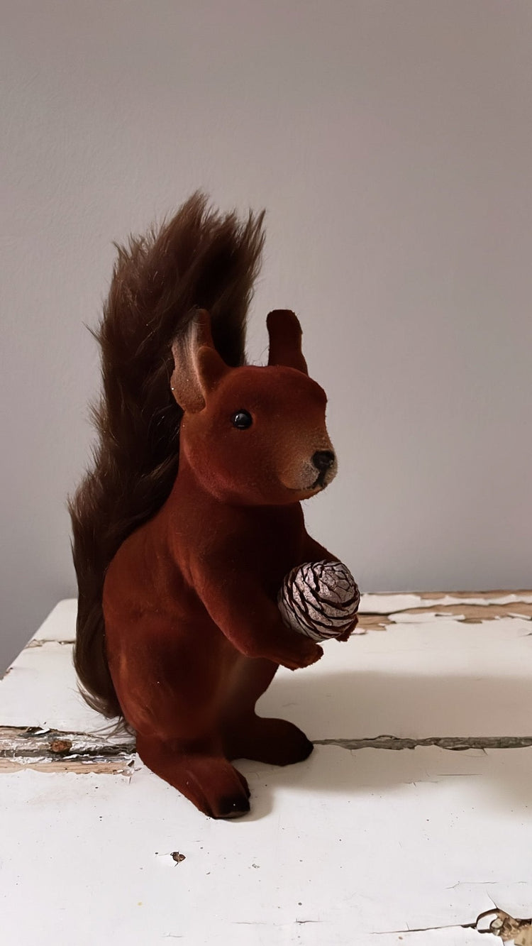 SQUIRRELS | INO SCHALLER