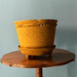 Teak Large Box Bum Pot | Handmade Erik Bendtsen Ceramics