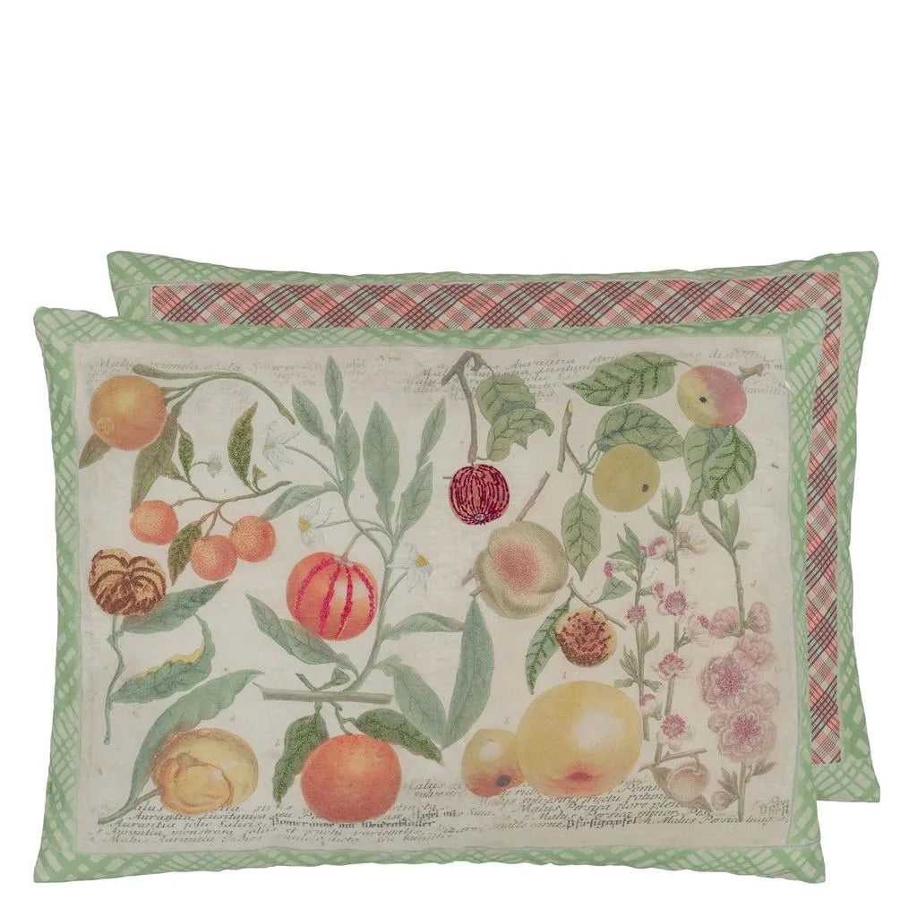 Oranges Canvas Cushion - John Derian