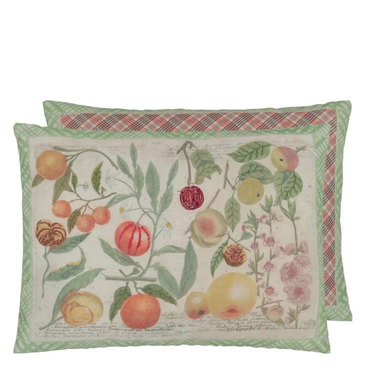 Oranges Canvas Cushion - John Derian