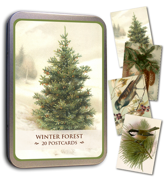 Winter Forest Tin of Postcards | Skona Ting