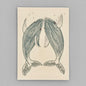 Humpback Whales Card | Coral & Tusk