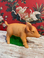 Piggy Rose Pearled With Grass | Ino Schaller