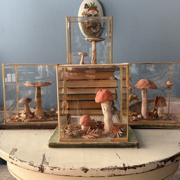Bohemian Natural History Diorama II: Woodland Mushroom Study