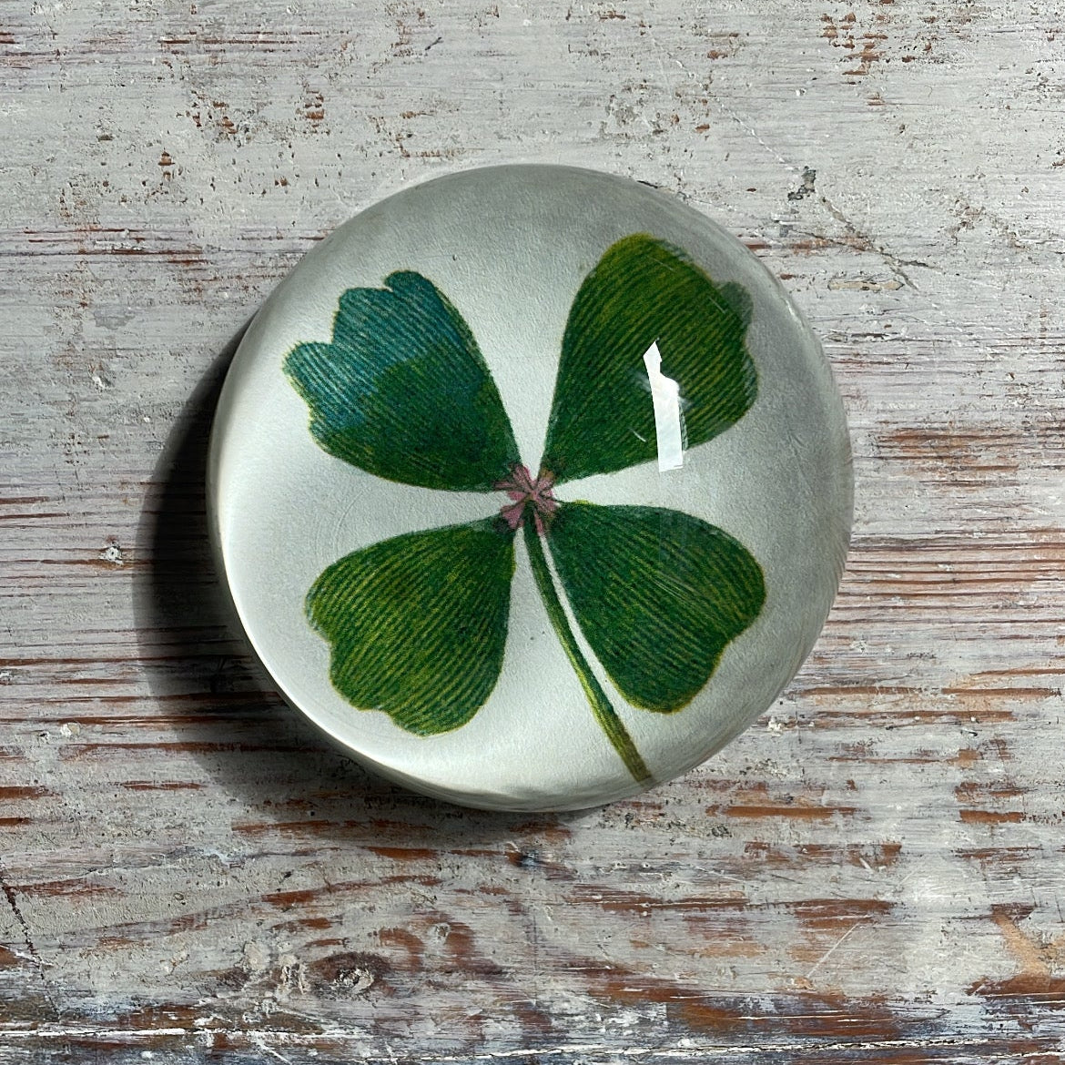 Clover