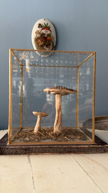 Bohemian Natural History Diorama III: Forest Mushroom Study