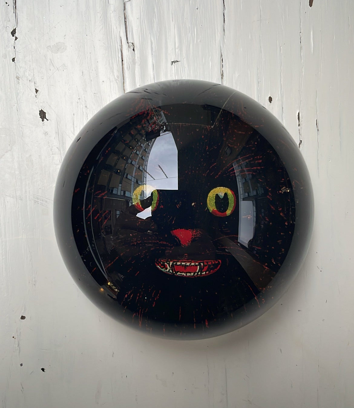 A Cat - Dome Paperweight | John Derian