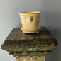 Yellow Lion Pot Marbleized | Handmade Erik Bendtsen Ceramics