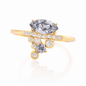 Désirée Ring | Mikkel Brøgger: Exclusive Pre-Order