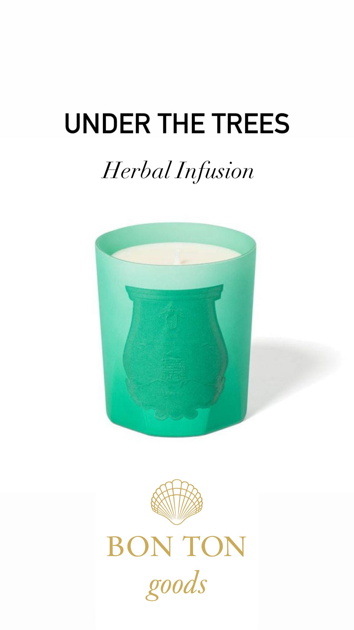 Under the Trees - Trudon