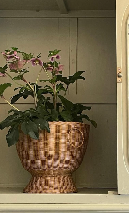 Flower Pot