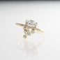 Désirée Ring | Mikkel Brøgger: Exclusive Pre-Order