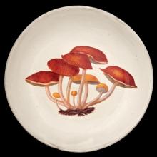John Derian Agaric Amer Soup Plate, set of 6 by Astier de Villatte, B2B view on black background