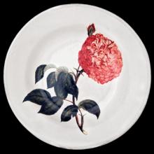 John Derian Alternate Rose Soup Plate, set of 6 by Astier de Villatte, B2B view on black background