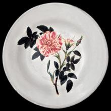 John Derian Rose May Soup Plate, set of 6 by Astier de Villatte, B2B view on black background
