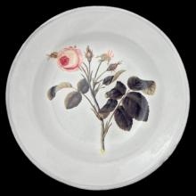 John Derian Rose Soup Plate, set of 6 by Astier de Villatte, B2B view on black background
