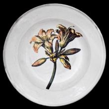 John Derian Bella Donna Lily Soup Plate, set of 6 by Astier de Villatte, B2B view on black background