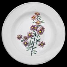 John Derian Carolina Star Flower Soup Plate, set of 6 by Astier de Villatte, B2B view on black background