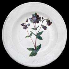 John Derian Columbine Flower Soup Plate, set of 6 by Astier de Villatte, B2B view on black background