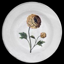 John Derian Indian King Ranculus Soup Plate, set of 6 by Astier de Villatte, B2B view on black background