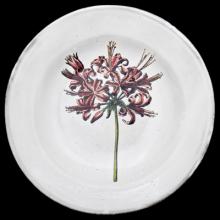John Derian Guernsey Lily Soup Plate, set of 6 by Astier de Villatte, B2B view on black background