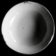 Neptune Salad Bowl, set of 6 by Astier de Villatte, B2B view on black background
