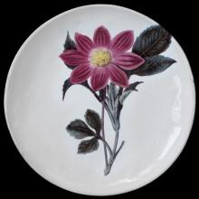 John Derian Pink Flower Dinner Plate, set of 6 by Astier de Villatte, B2B view on black background