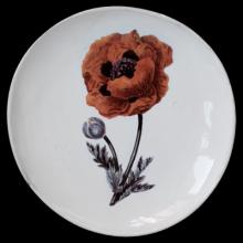 John Derian Orange Flower Dinner Plate, set of 6 by Astier de Villatte, B2B view on black background