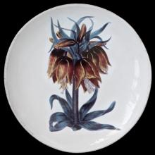 John Derian Yellow Flower Dinner Plate, set of 6 by Astier de Villatte, B2B view on black background