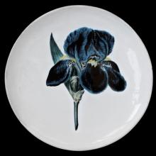John Derian Blue Flower Dinner Plate, set of 6 by Astier de Villatte, B2B view on black background